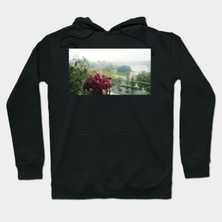 Hanoi in bloom Hoodie